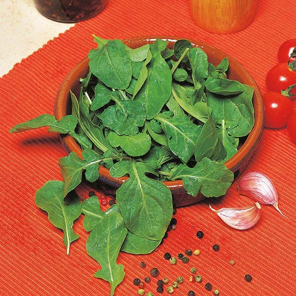 Grow Your Own Herbs Kitchen Essentials Collection (5-Pack)