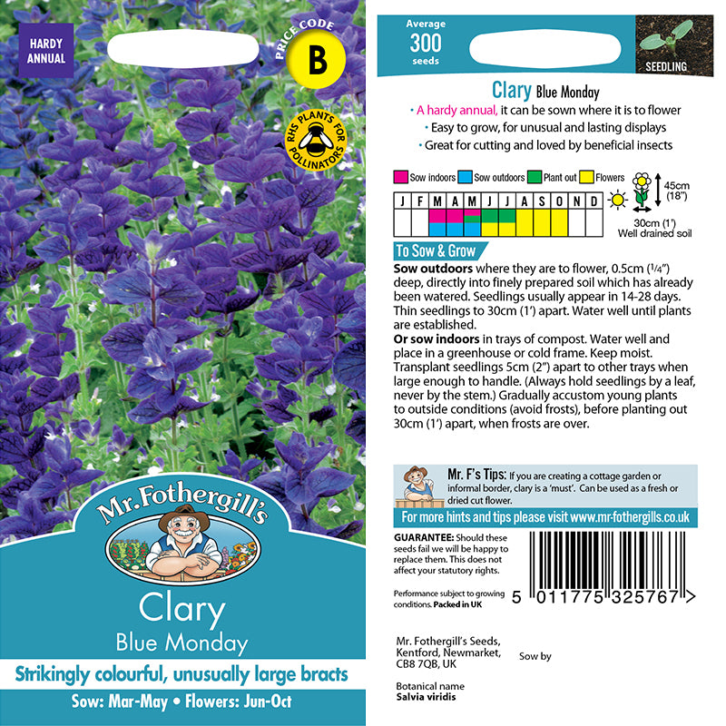 flower seed name Clary Blue Monday From Mr Fothergills Seeds and Plants