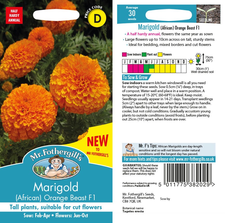 Marigold (African) Orange Beast F1 Flower Seeds
