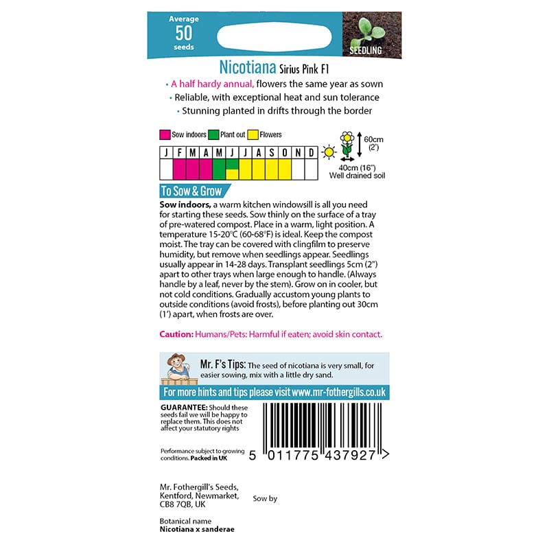 Nicotiana Sirius Pink F1 Seeds