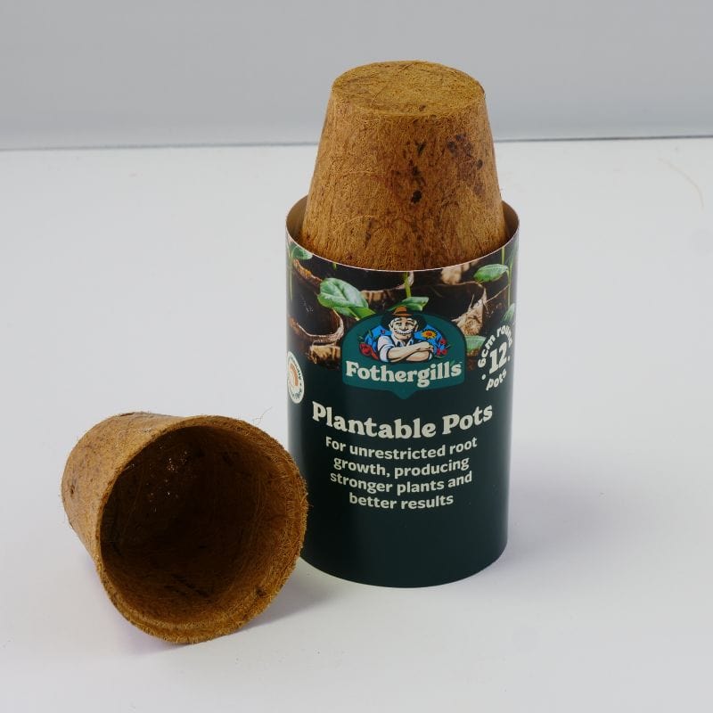 plantable plant pots Plantable Pots 6 x 12cmÂ | Mr Fothergill's