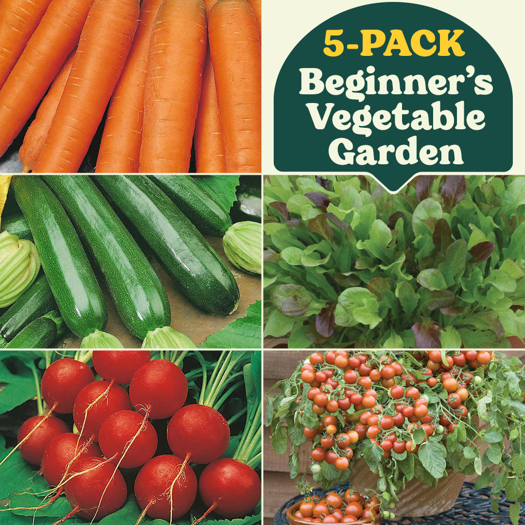 Beginner’s Vegetable Garden Collection (5-Pack)