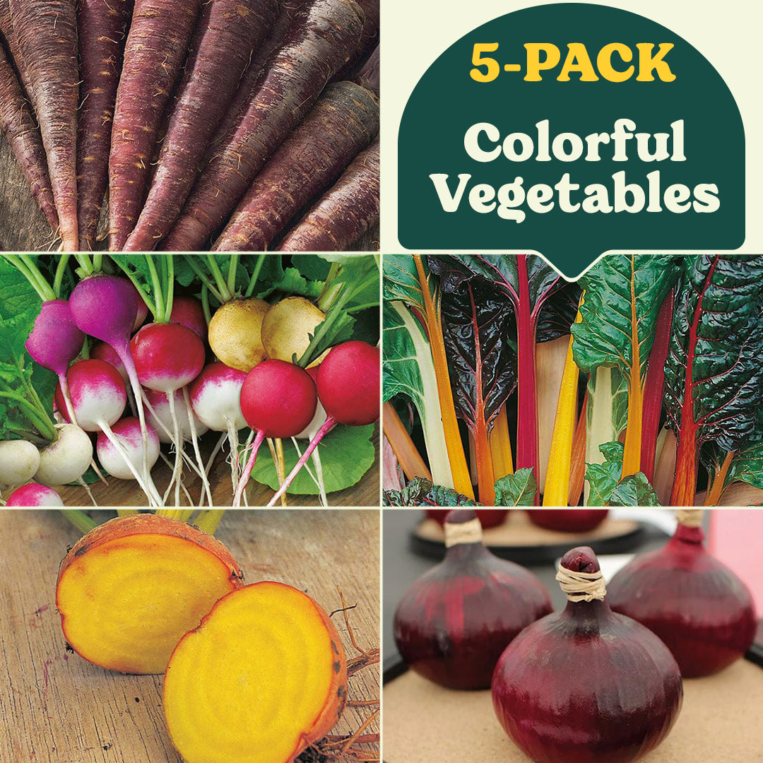 Colorful Vegetable Garden Collection (5-Pack)