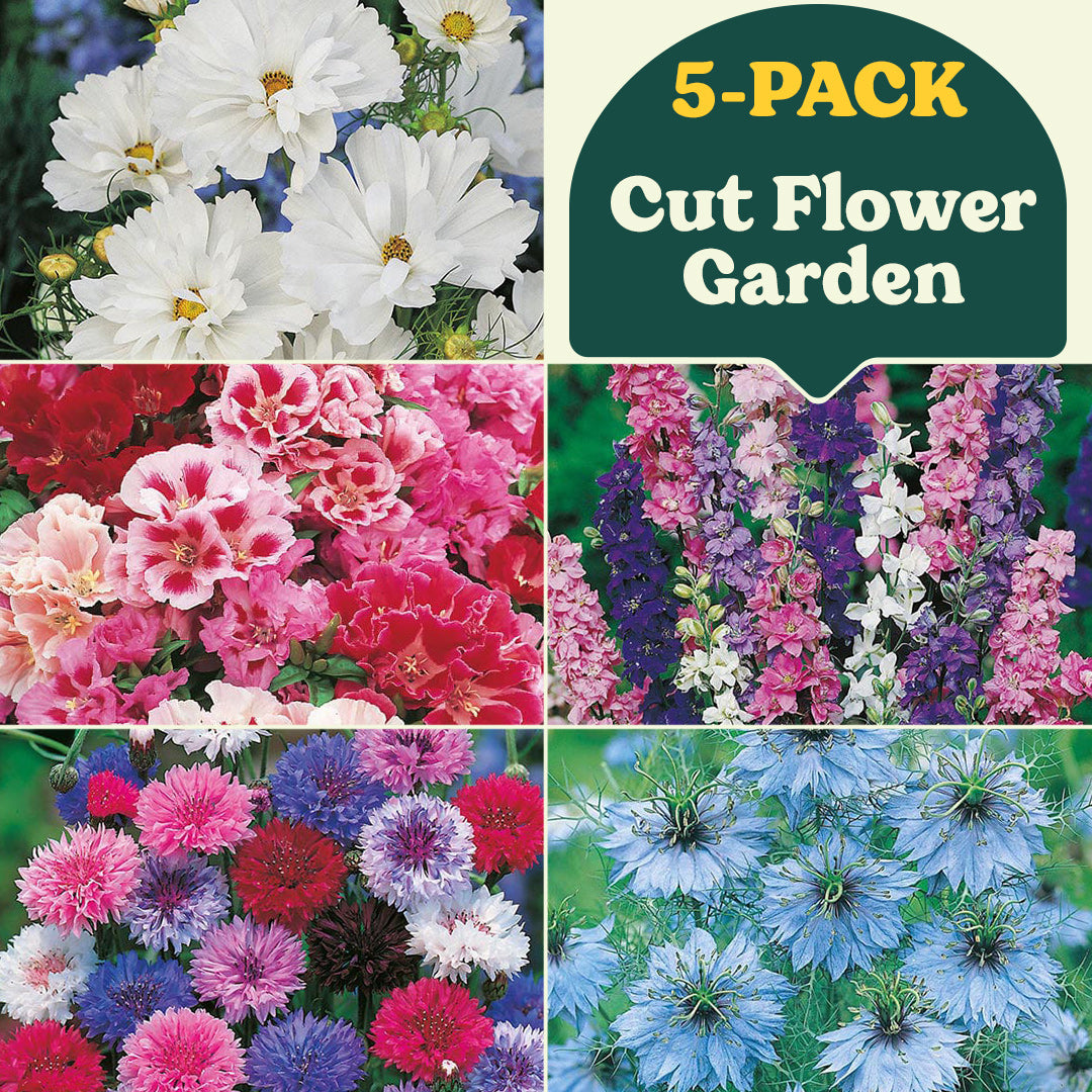 Homegrown Bouquets Cut Flower Garden Collection (5-Pack)