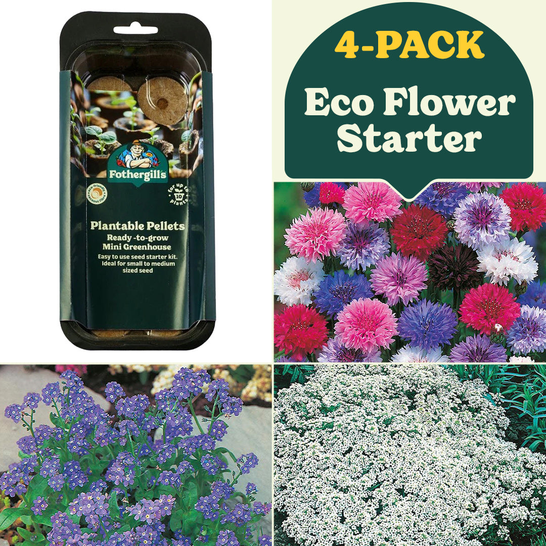 Eco Friendly Flower Starter Collection (4-Pack)
