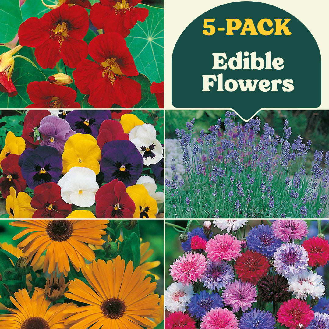 Edible Flowers Garden Collection (5-Pack)
