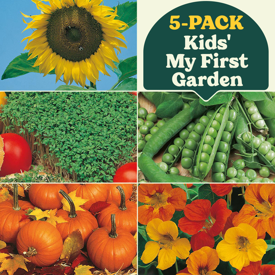 vegetable garden seed collection Kids My First Garden Collection (5-Pack)