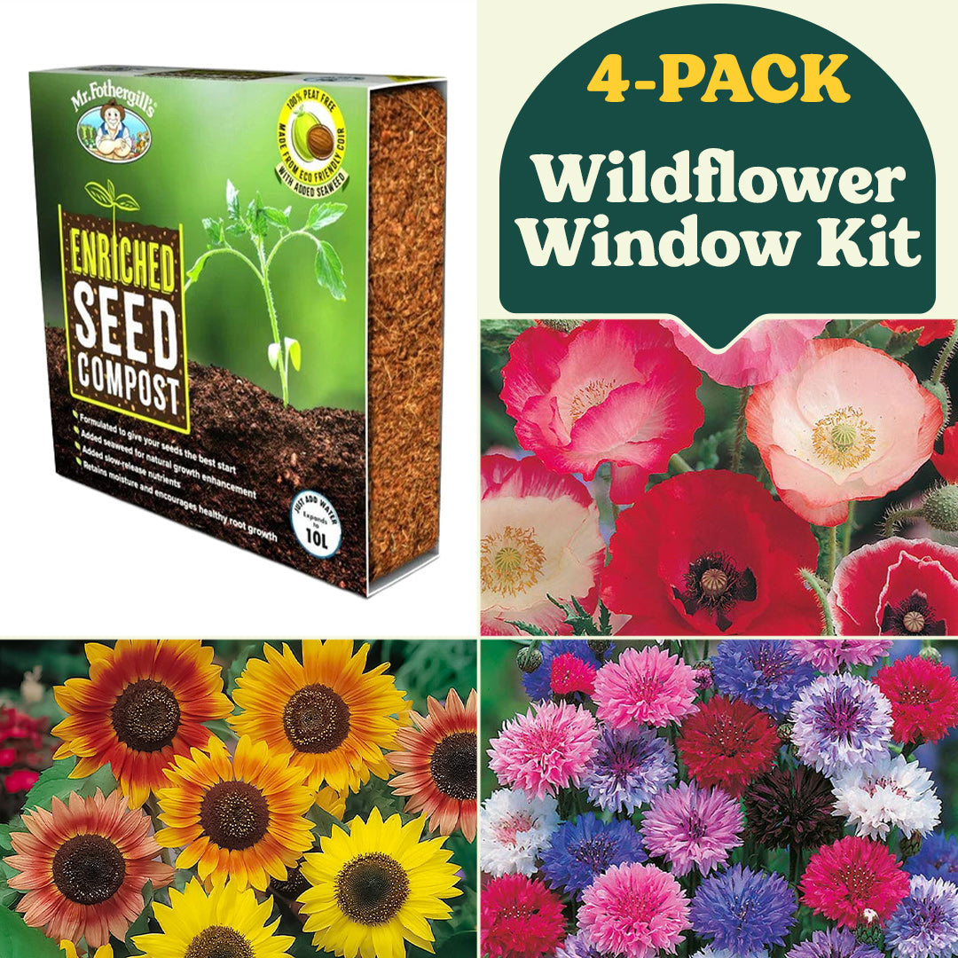 wildflower seed kits Wildflower Window Kit Garden Collection (4-Pack)