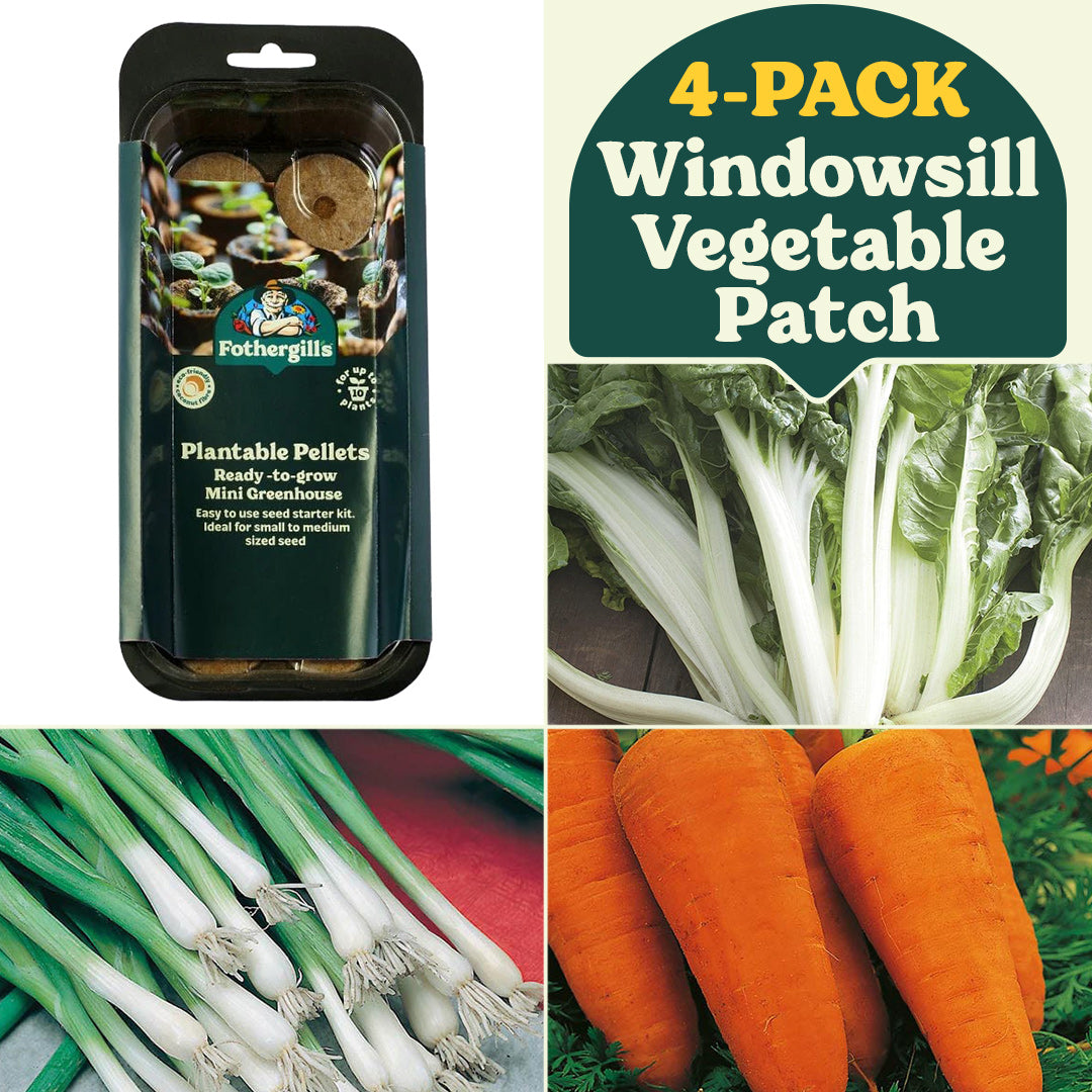 Windowsill Veggie Patch Garden Collection (4-Pack)