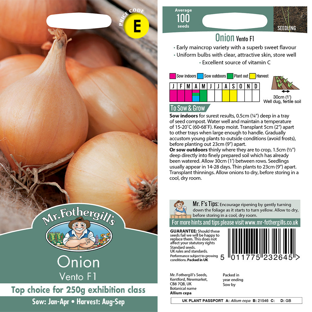 Onion Vento F1 Seeds