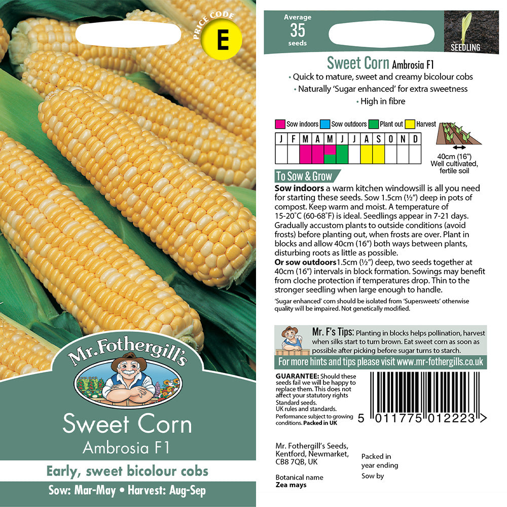 Sweet Corn Ambrosia F1 Seeds