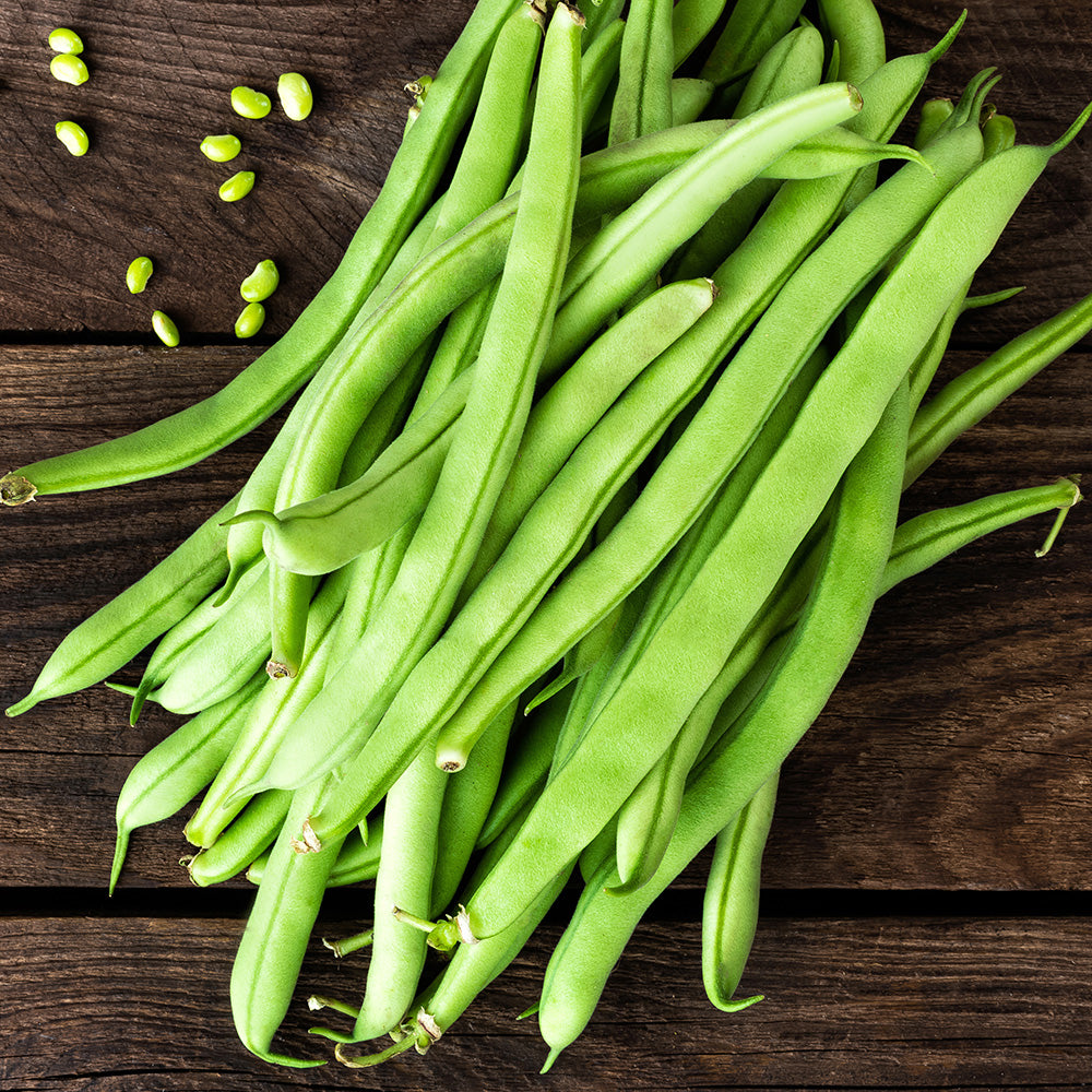 Dwarf French Bean The Prince Seeds