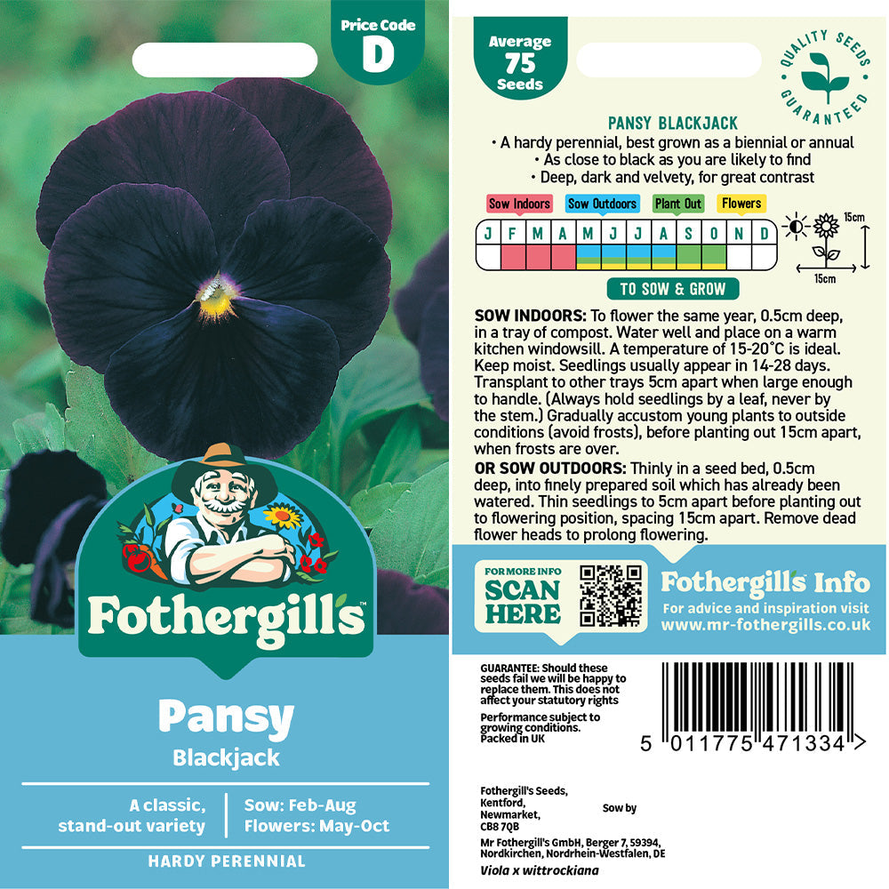 Pansy Blackjack Seeds