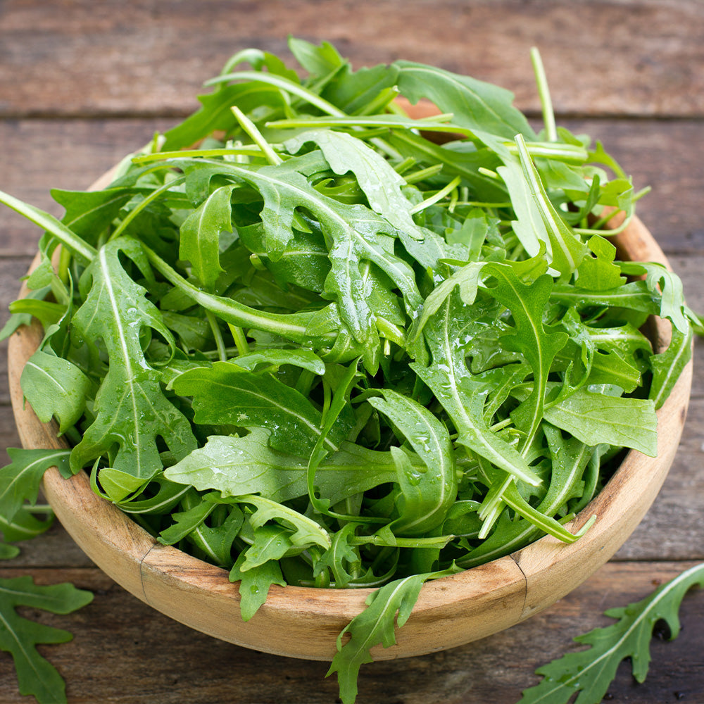 Arugula Rocket Seeds