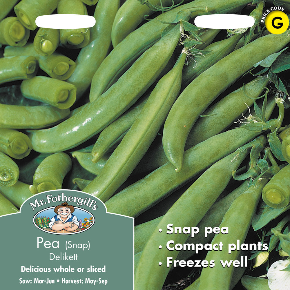 Pea Snap Delikett Seeds