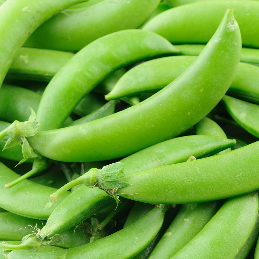 Pea Snap Delikett Seeds