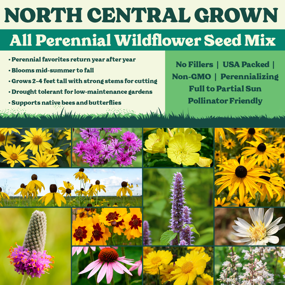 North Central Grown All Perennial Wildflower Seed Mix