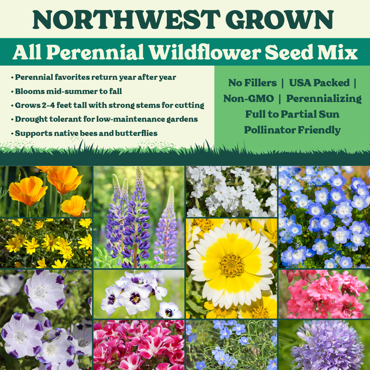 Northwest Grown All Perennial Wildflower Seed Mix