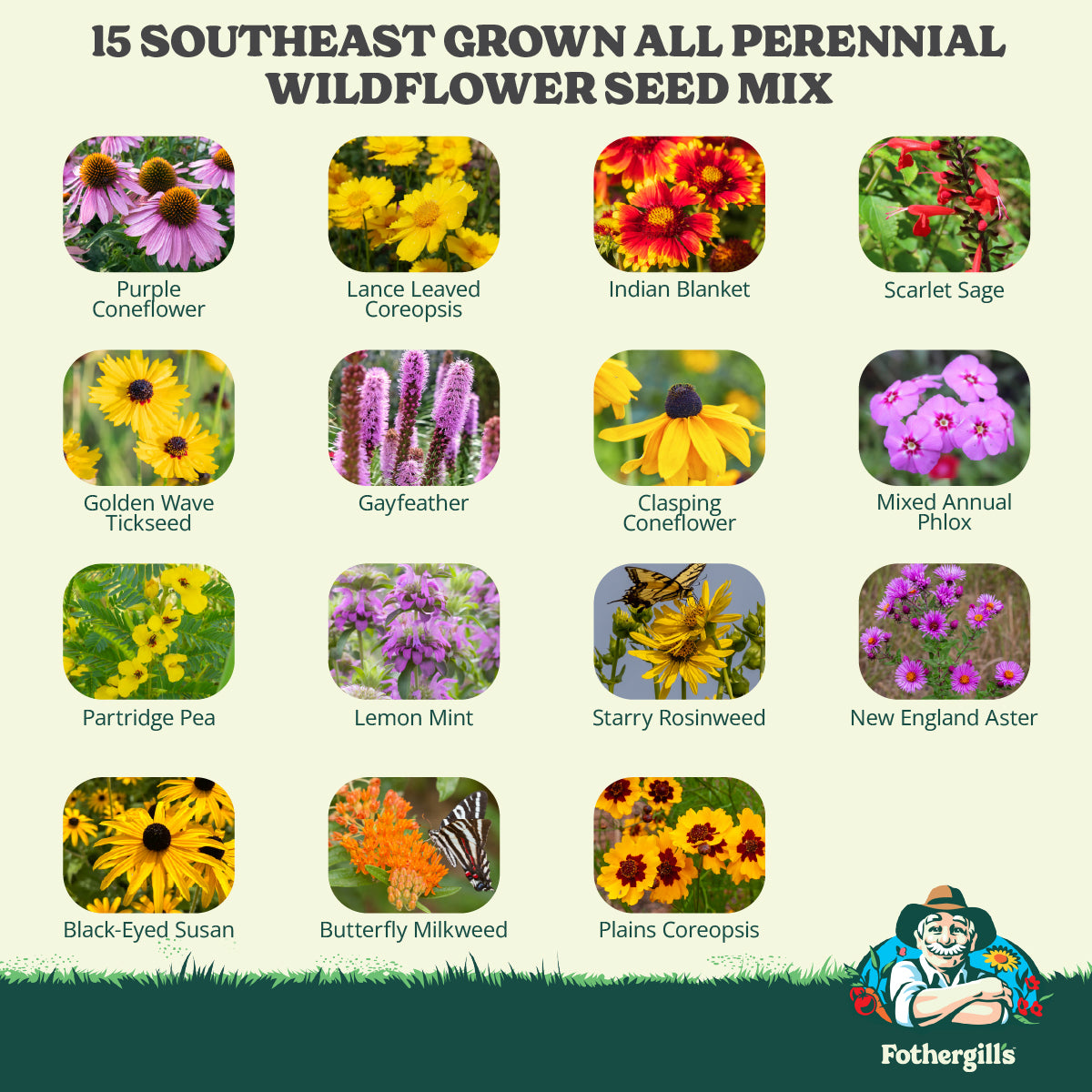Southeast Grown All Perennial Wildflower Seed Mix