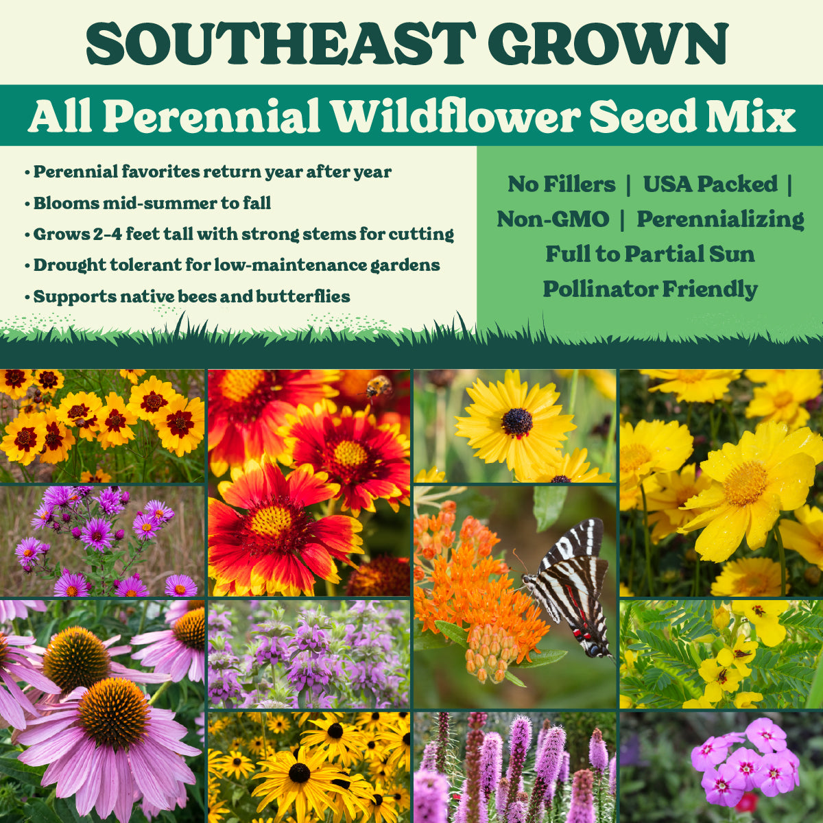 Southeast Grown All Perennial Wildflower Seed Mix
