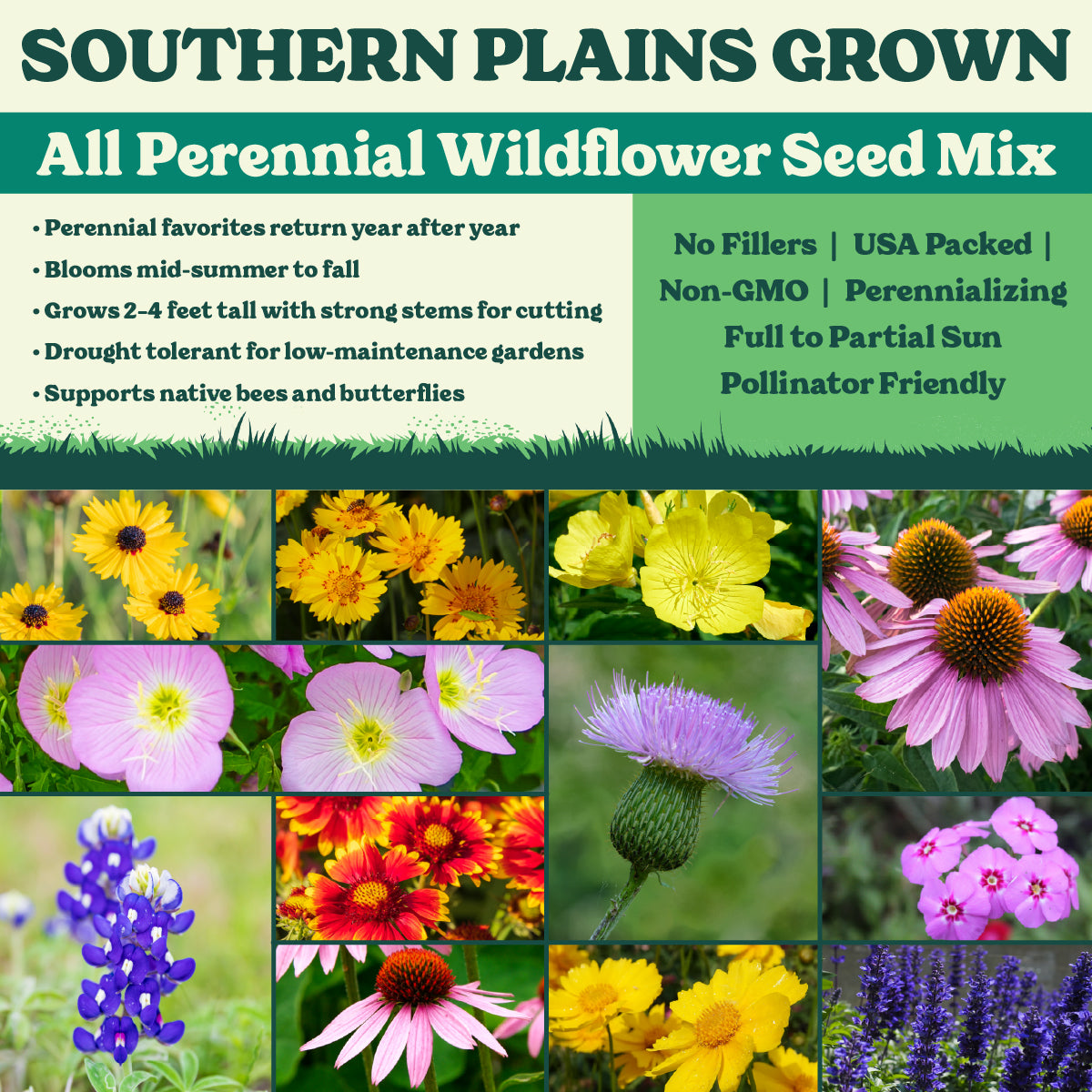 Southern Plains Grown All Perennial Wildflower Seed Mix