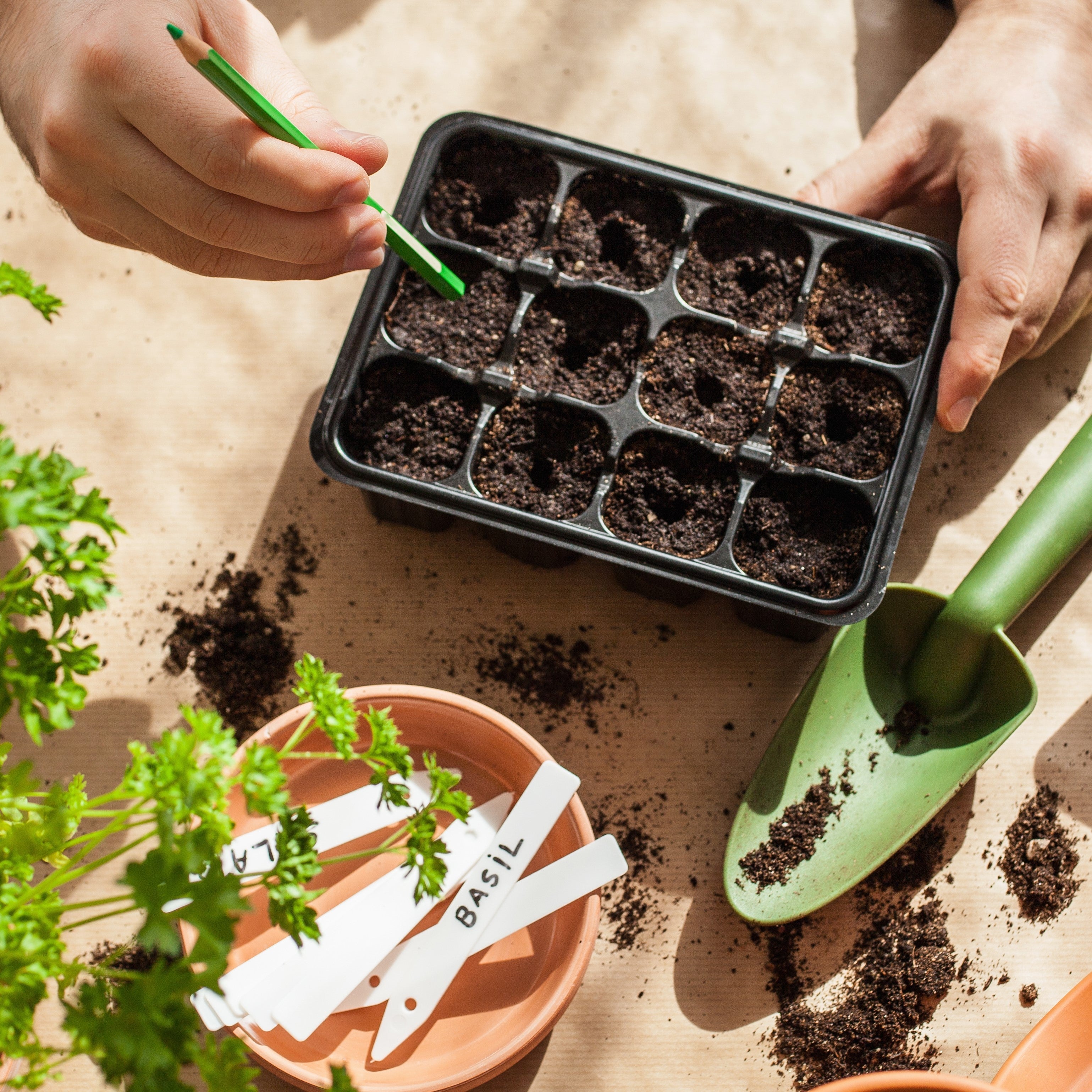 Sowing and growing equipment