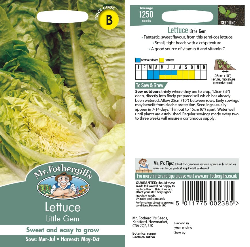 Lettuce Little Gem Seeds