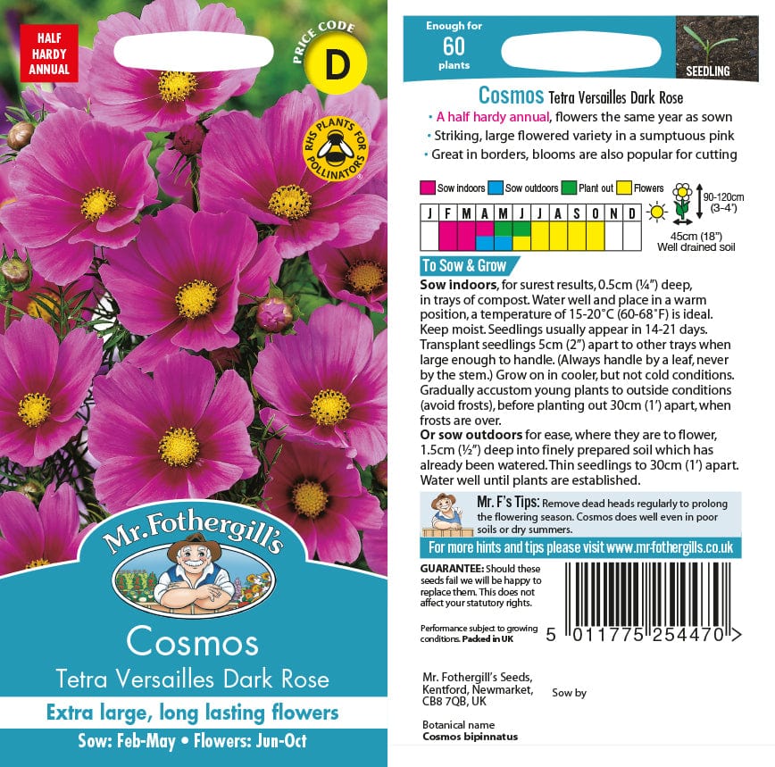 Cosmos Tetra Versailles Dark Rose Seeds from Mr Fothergill's Seeds