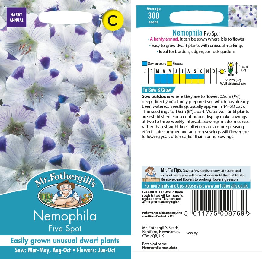 Nemophila Five Spot