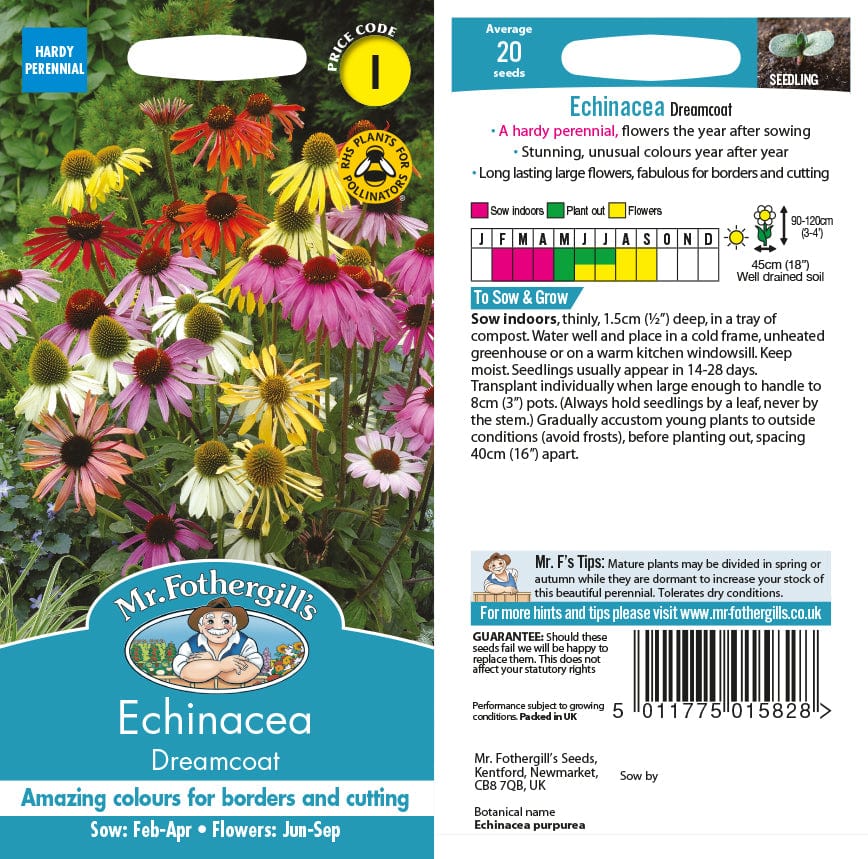 Echinacea Dreamcoat Seeds