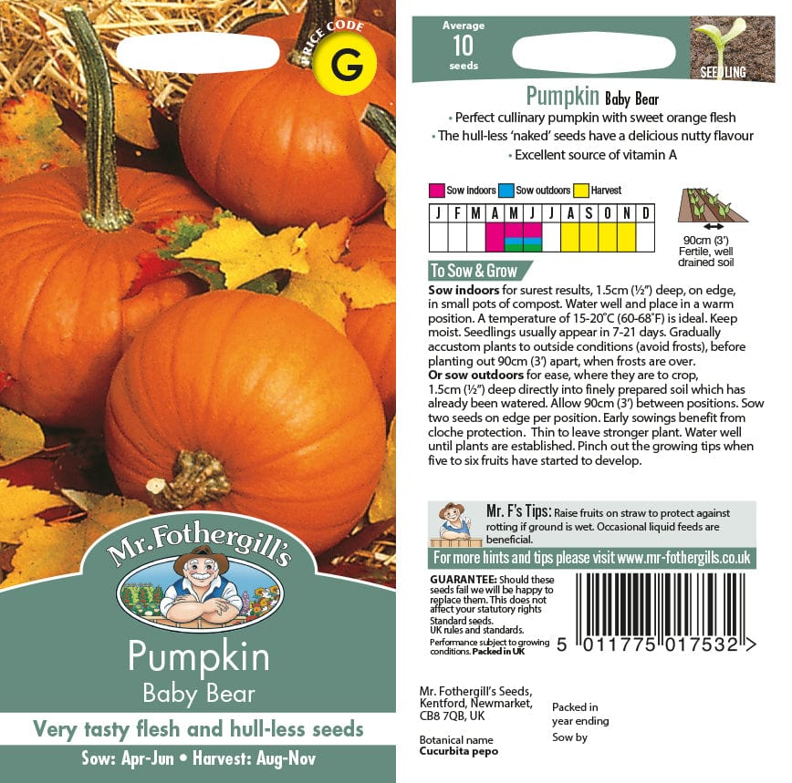 Pumpkin Baby Bear Seeds