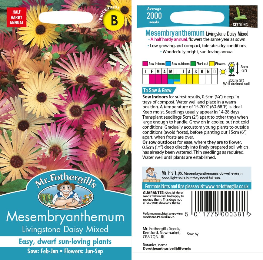 Mesembryanthemum Livingstone Daisy Mixed Seeds