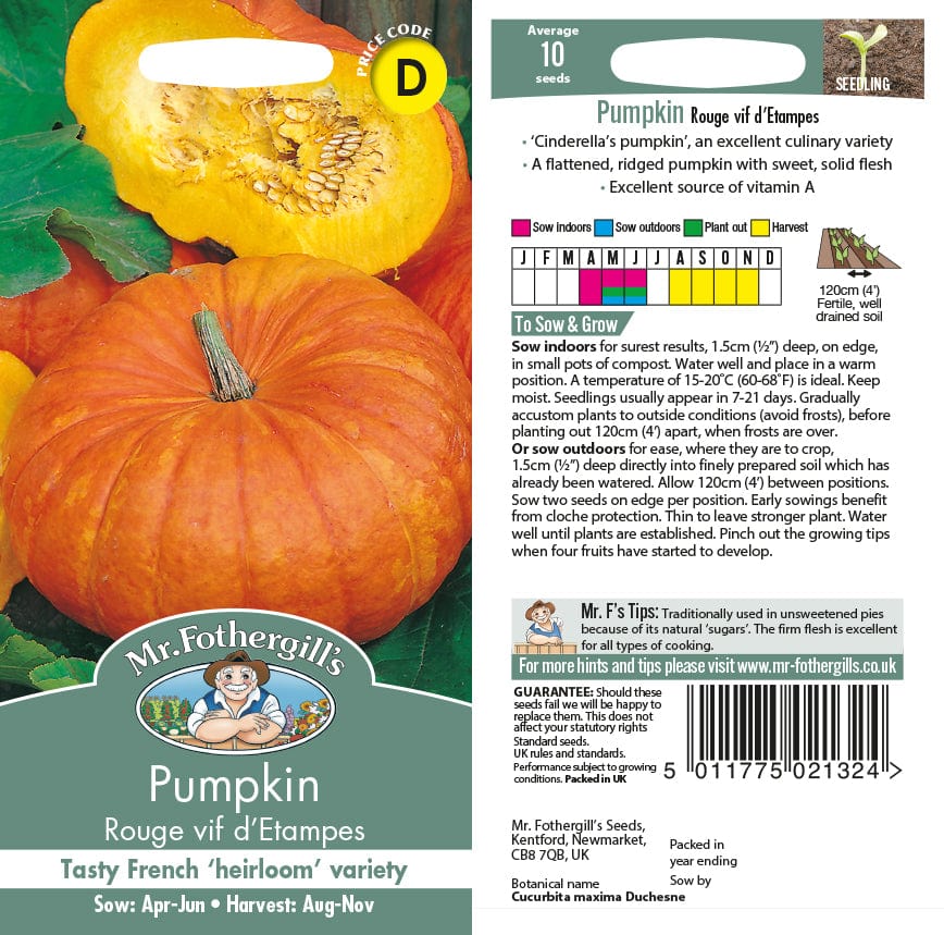 Pumpkin Rouge vif d'Etampes Seeds