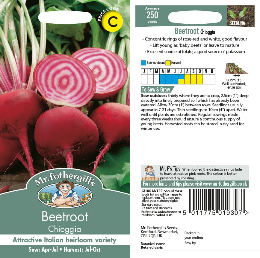 Beetroot Chioggia