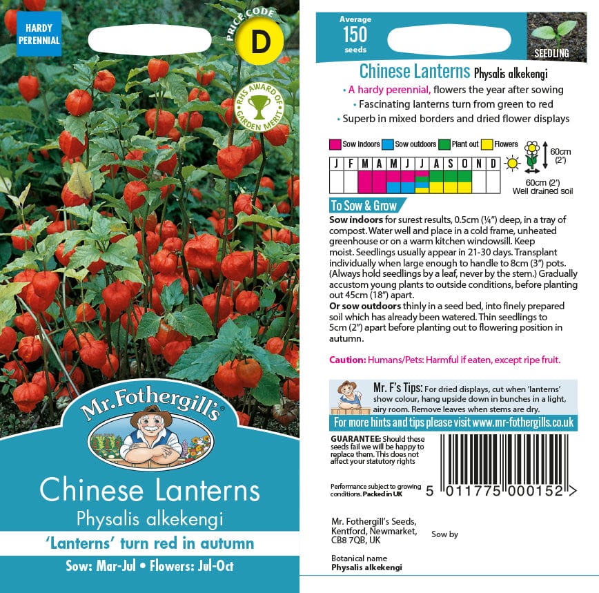 Chinese Lanterns Seeds