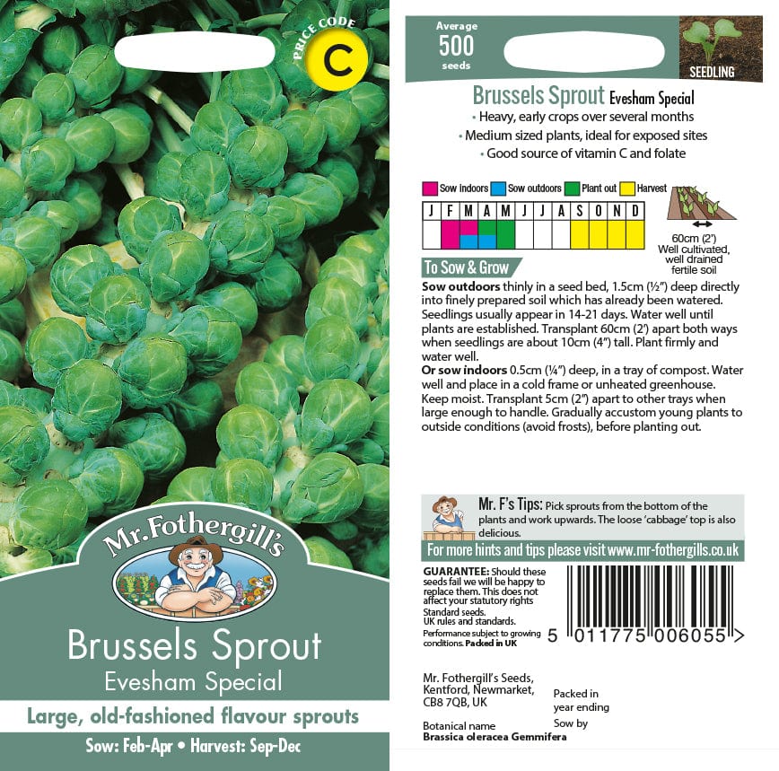 Brussels Sprout Evesham Special Seeds