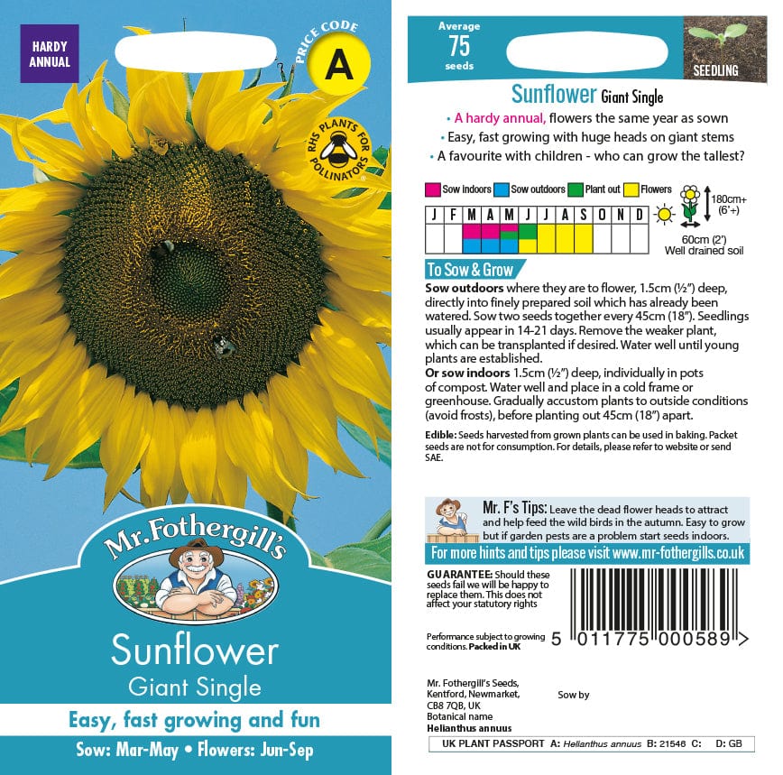 Giant Sunflower Seeds | Flowers | Mr Mr Fothergill's | USA