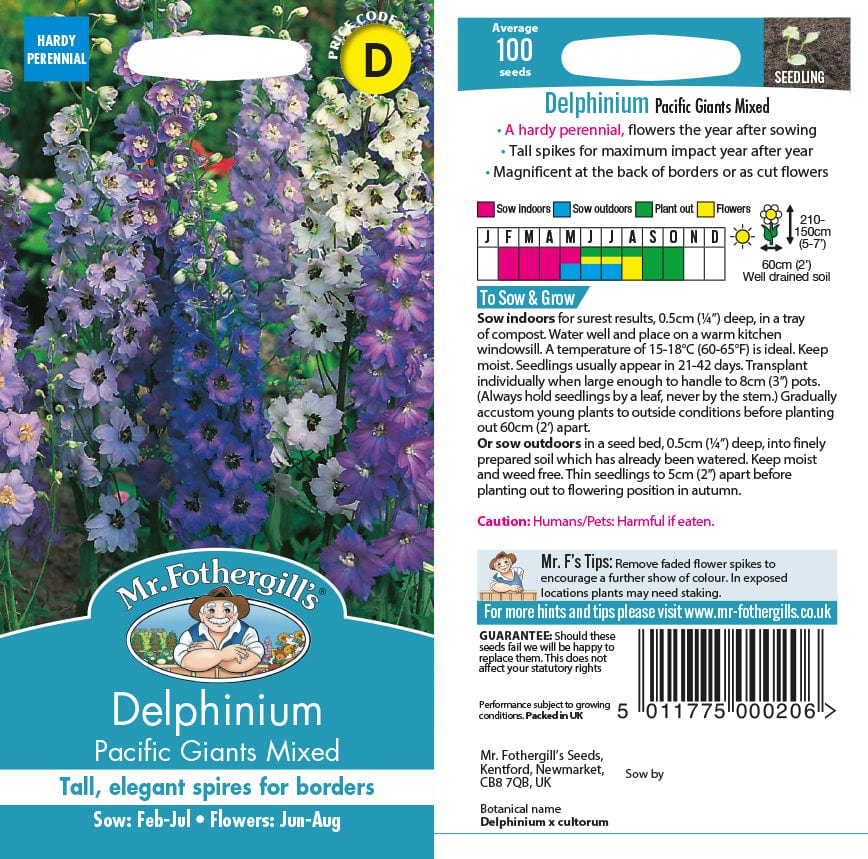 Candytuft Purple Rain From Mr Fothergills Seeds and Plants | USA
