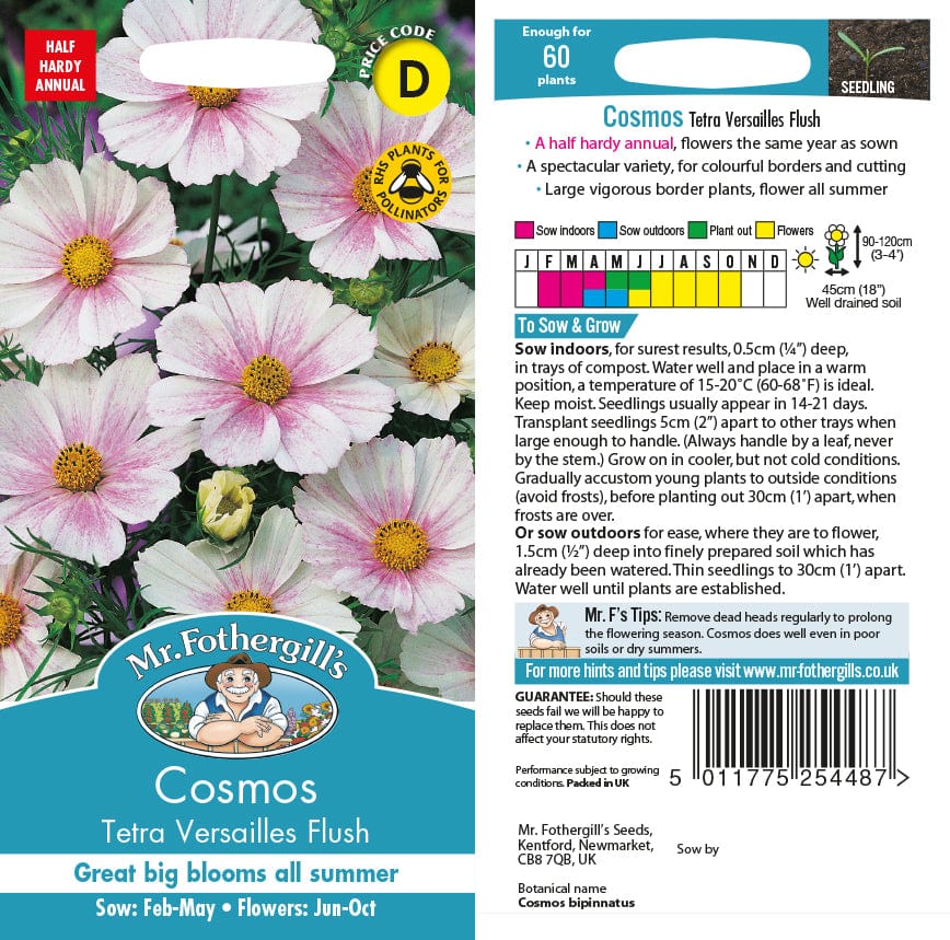 Cosmos Tetra Versailles Flush Seeds from Mr Fothergill's Seeds and