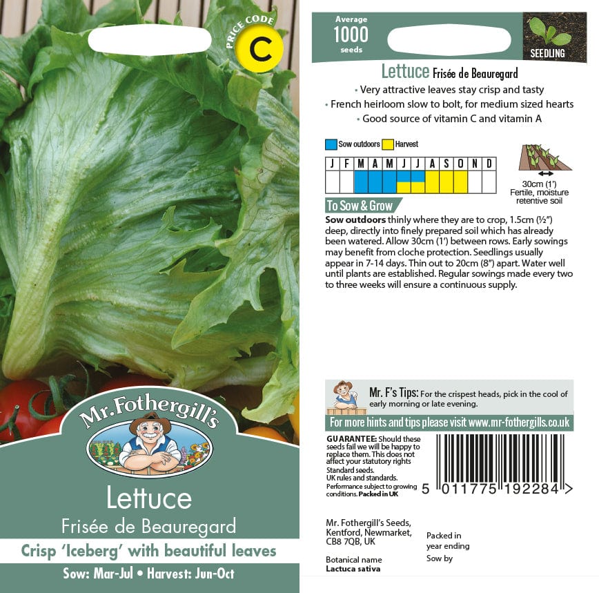 Lettuce Frisee de Beauregard Seeds