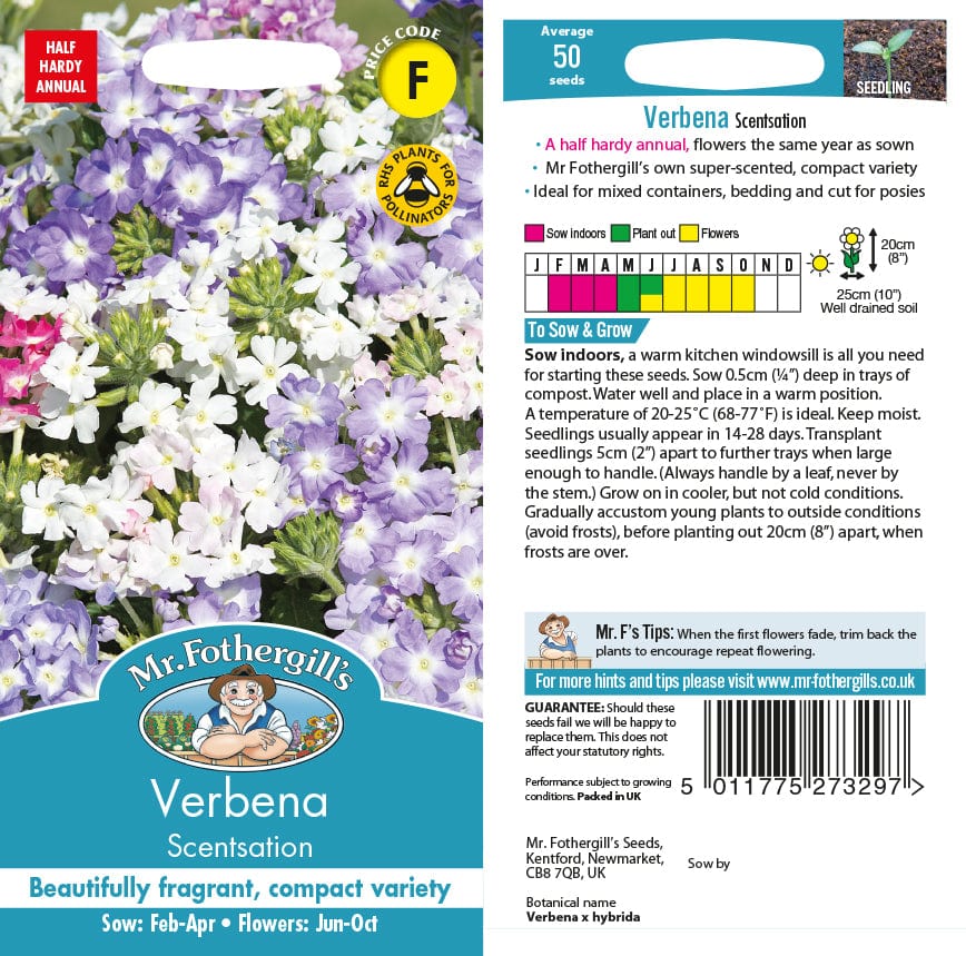 Verbena Scentsation Seeds