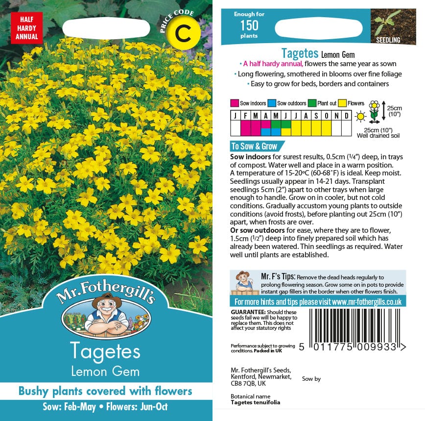 Tagetes Lemon Gem