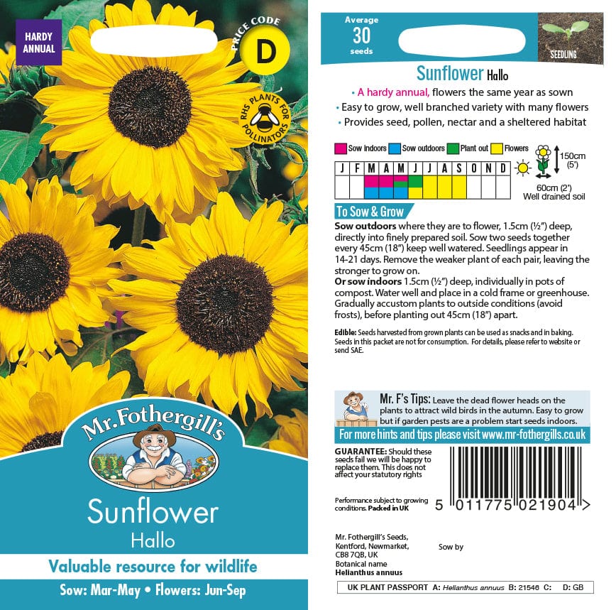 Sunflower Hallo Seeds from Mr Fothergill's Seeds and Plants | USA