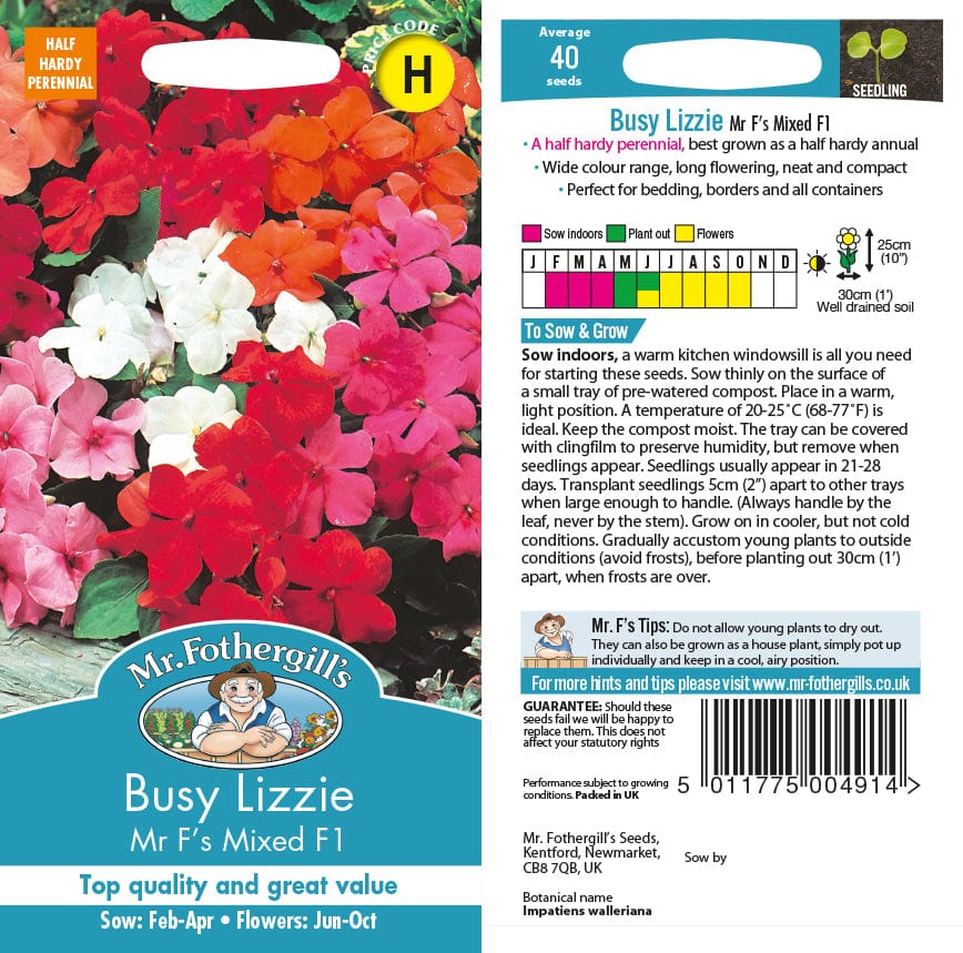Busy Lizzie Mr F's Mixed F1 Seeds