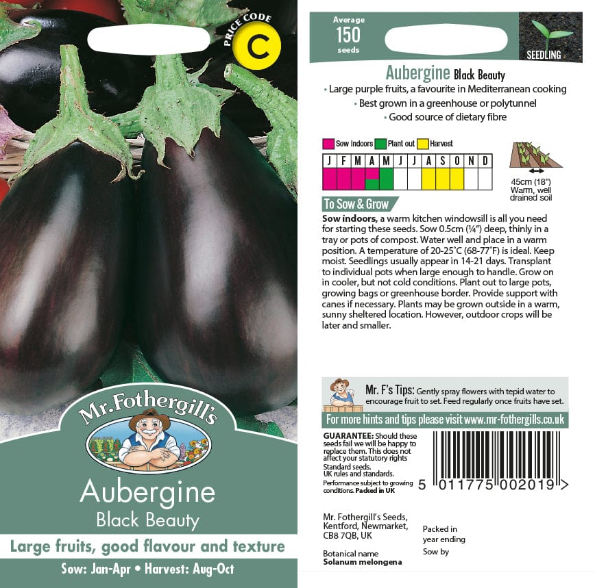 Aubergine Black Beauty Seeds