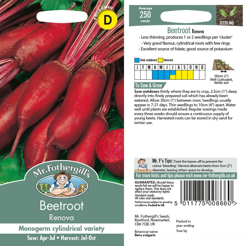 Beetroot Renova Seeds