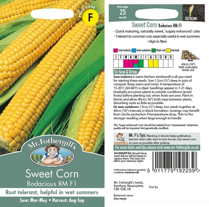 Sweet Corn Bodacious RM F1 Seeds from Mr Fothergill's Seeds and