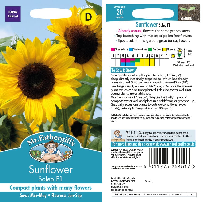Sunflower Soleo F1 Seeds from Mr Fothergill's Seeds and Plants | USA