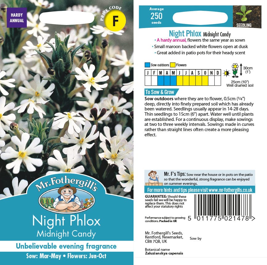 Night Phlox Midnight Candy Seeds from Mr Fothergill's Seeds and
