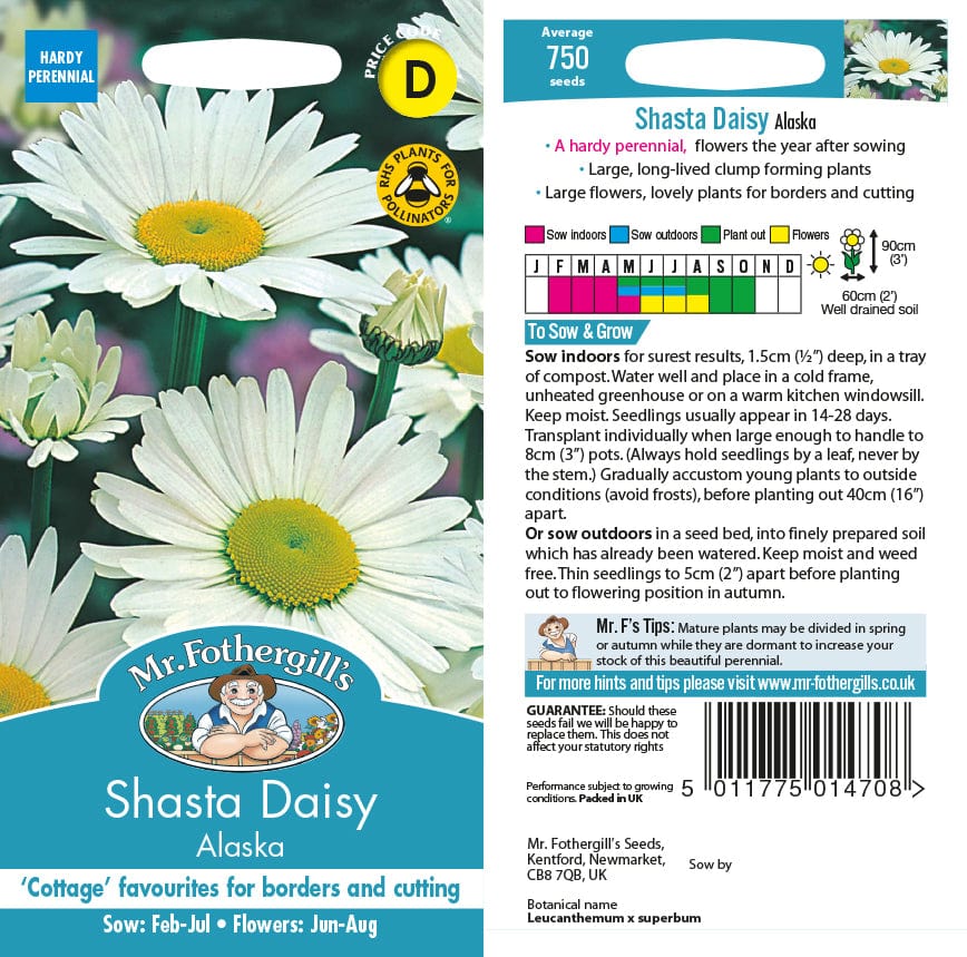 Chrysanthemum Shasta Daisy Alaska Seeds